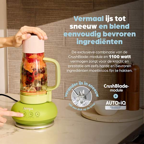 Ninja BlendBoss Blender - Steen DB351EUST